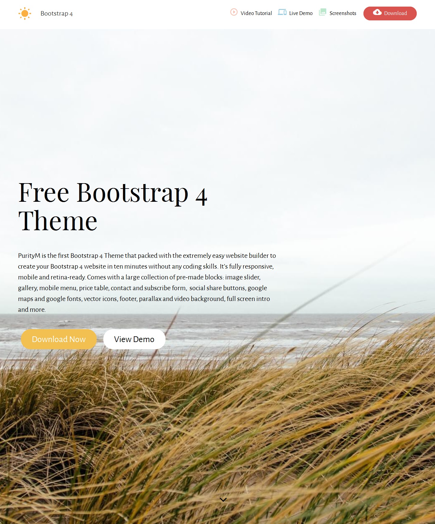 CSS3 Bootstrap Magazine Theme